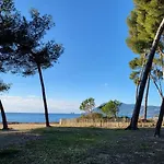 Entre Et Foret * Saint-Mandrier-sur-Mer