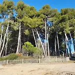 Entre Et Foret Saint-Mandrier-sur-Mer