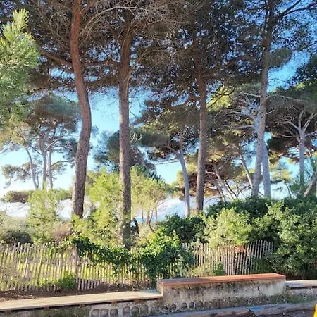 Entre Et Foret Saint-Mandrier-sur-Mer