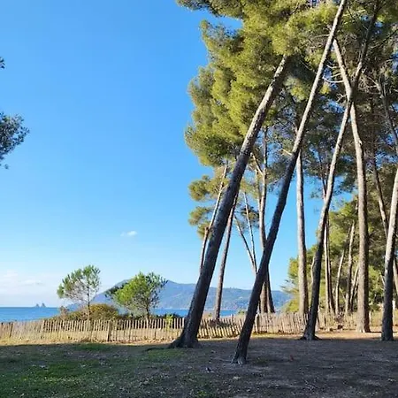 Entre Et Foret Appartement *