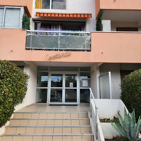 Entre Et Foret * Saint-Mandrier-sur-Mer