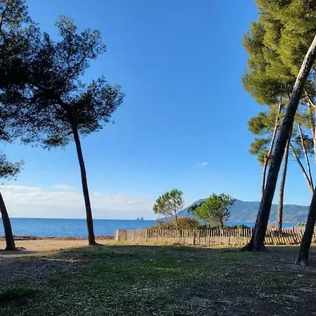 Entre Et Foret * Saint-Mandrier-sur-Mer