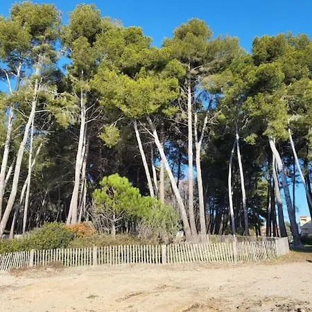 Entre Et Foret 滨海圣芒德里耶