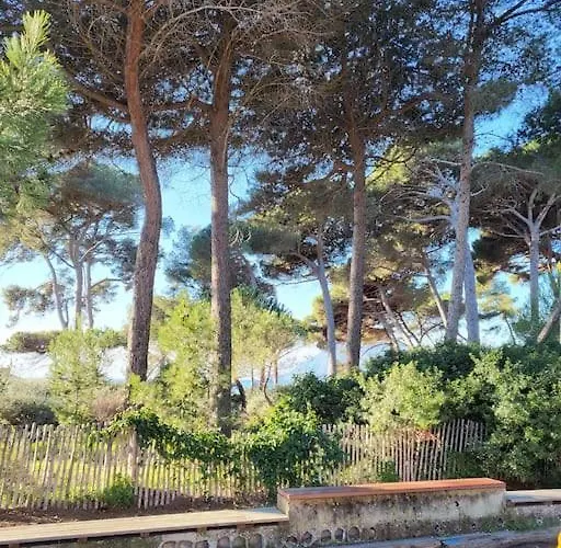 Entre Et Forêt Saint-Mandrier-sur-Mer