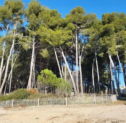 Entre Et Forêt Saint-Mandrier-sur-Mer