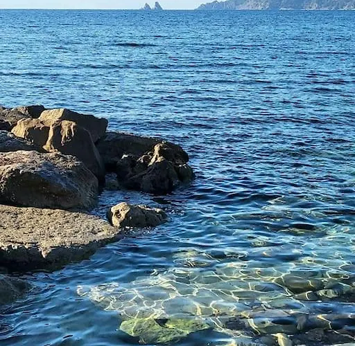 Entre Et Forêt * Saint-Mandrier-sur-Mer